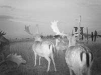 /album/fotogalerie-uvod/imag0451-jpg1/